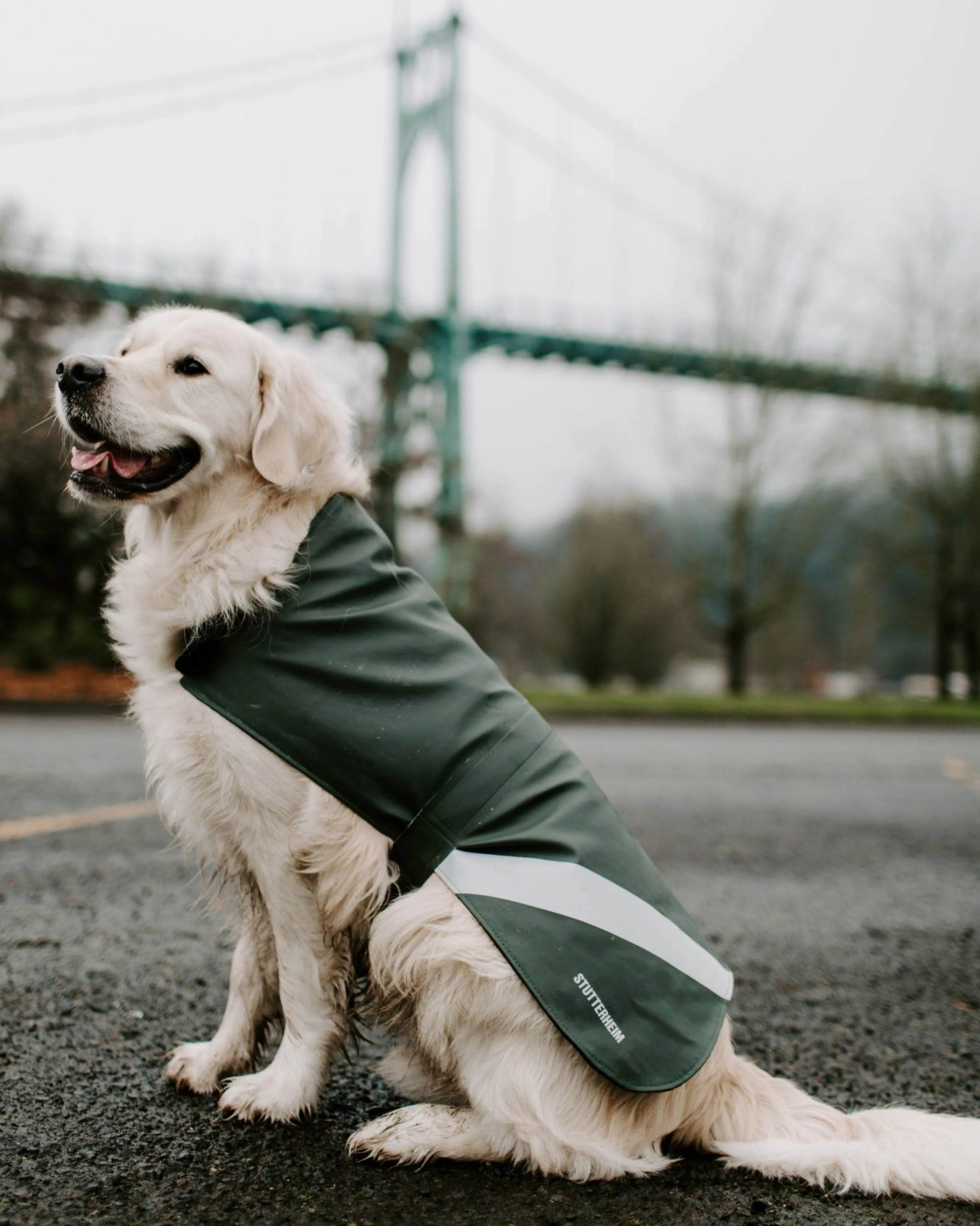 STUTTERHEIM Dog Raincoat^Women Dog Raincoats | Dog Raincoats