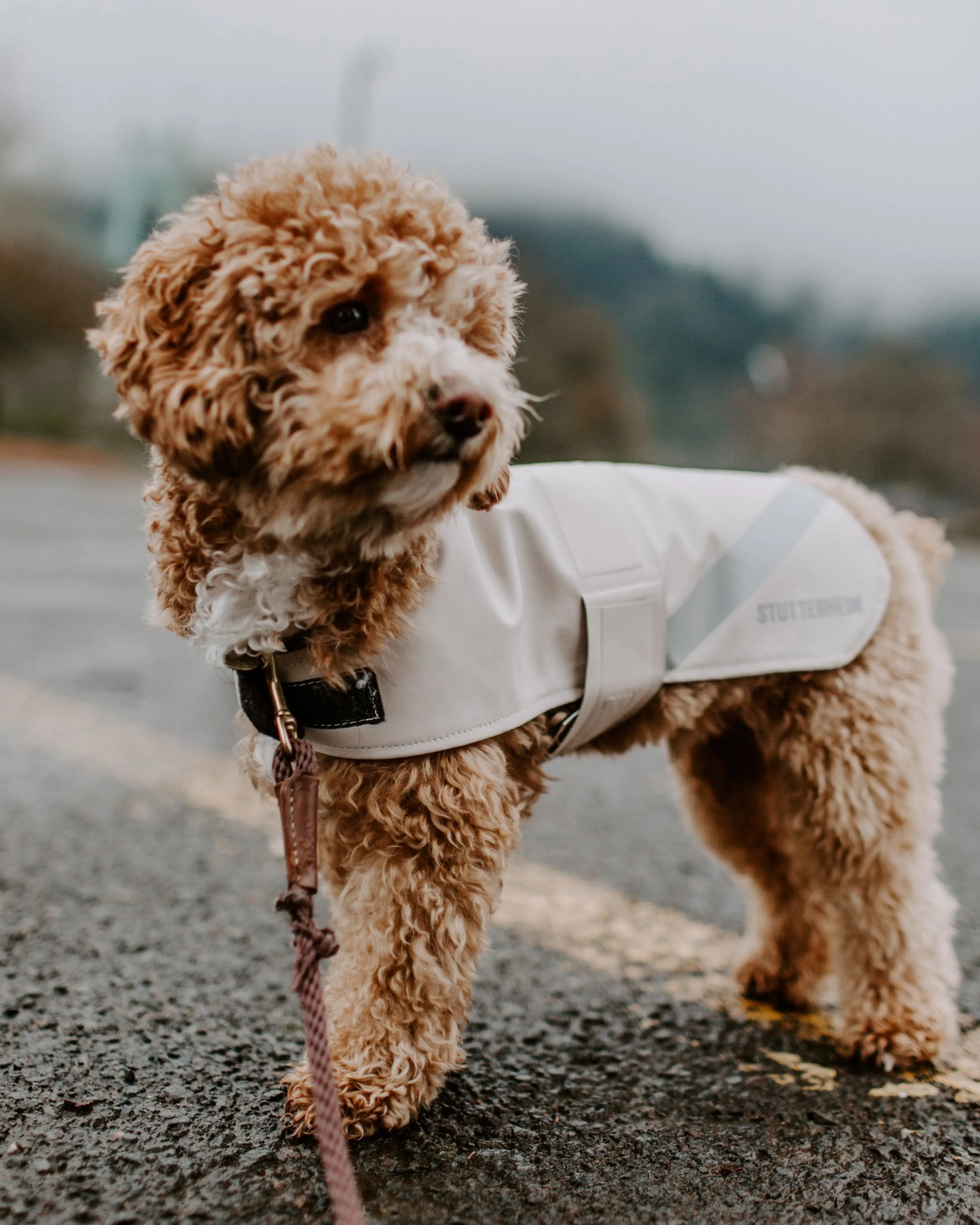 STUTTERHEIM Dog Raincoat^Women Dog Raincoats | Dog Raincoats