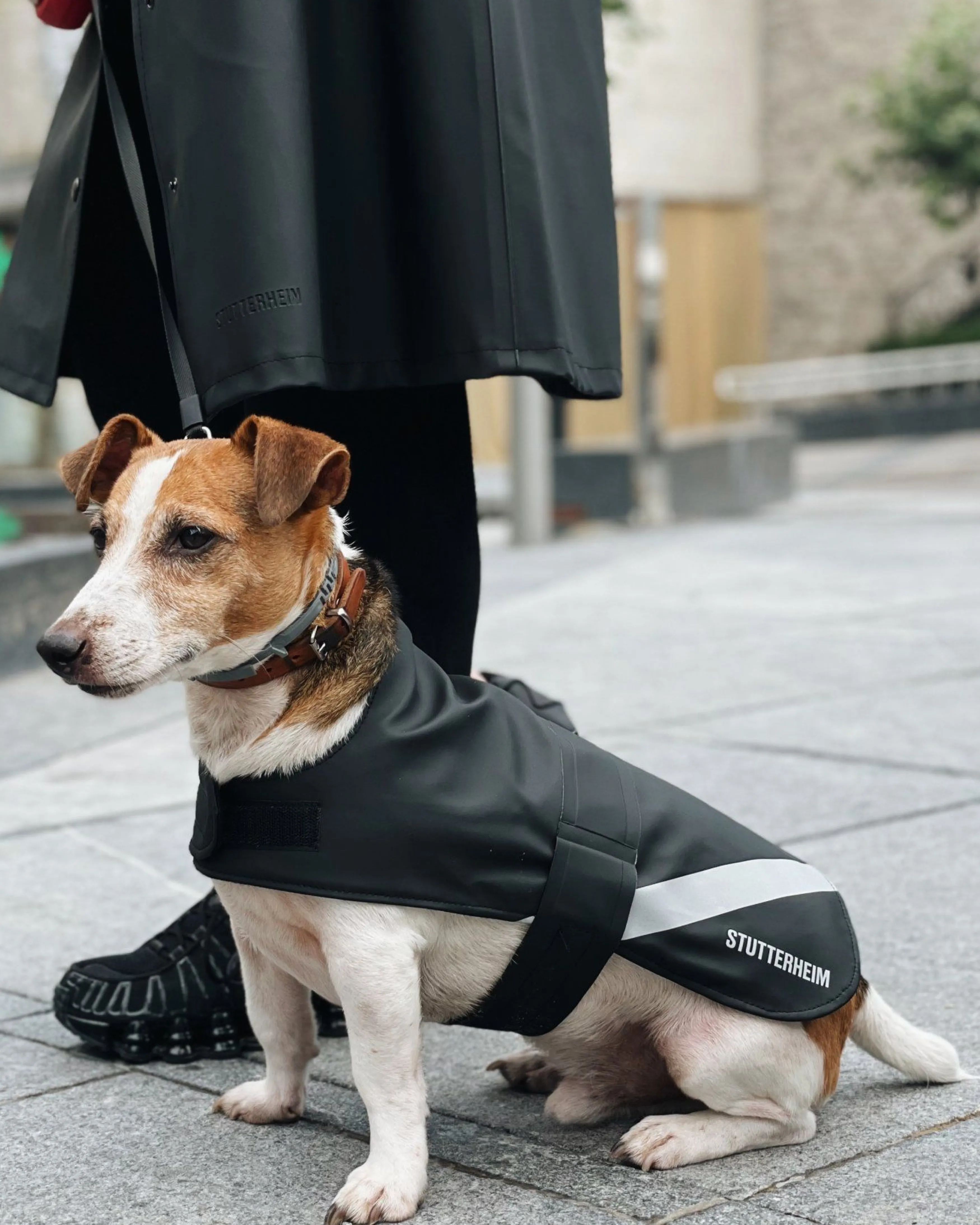 STUTTERHEIM Dog Raincoat^Women Dog Raincoats | Dog Raincoats